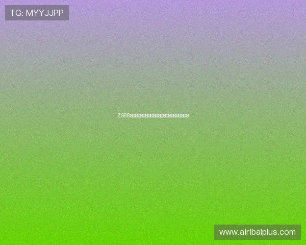 ZS88尊胜，匠心打造高端品质，彰显尊贵身份的理想之选