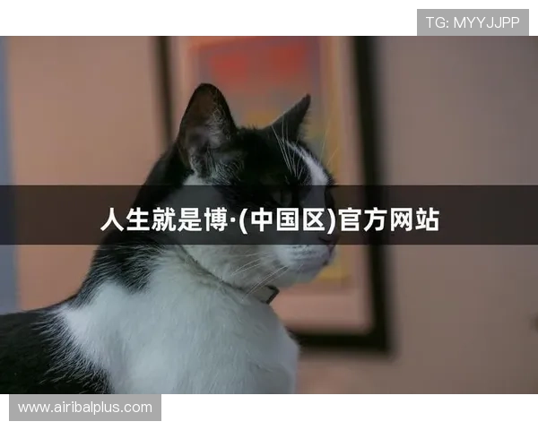 尊龙人生就是博:提升个人决策能力的实用技巧与心理调适方法 尊龙人生就是博:提升个人决策能力的实用技巧与心理调适方法