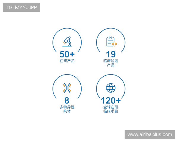 尊龙凯时账号登录中心账号信息管理与个人资料更新操作指南